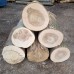  AKCE-Tvrdé dřevo 10 pmS délka 0,5 m